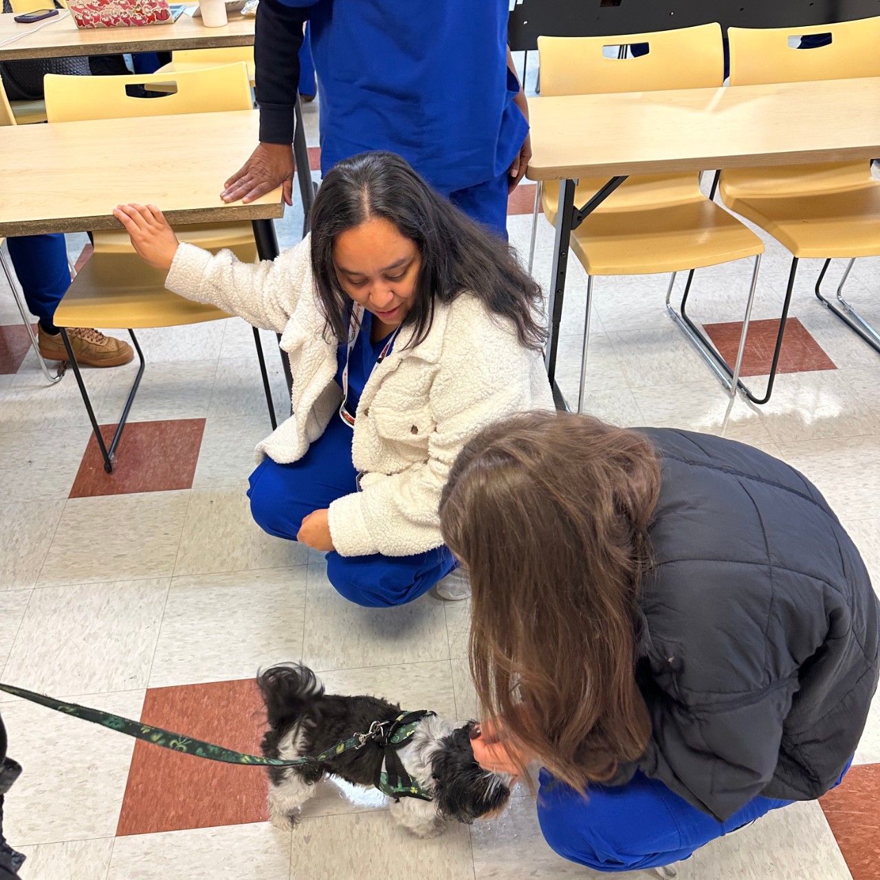 Therapy Dog in the house!